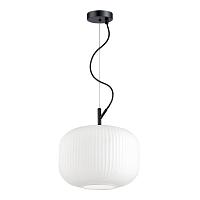Дополнительная картинка Подвесной светильник Odeon Light Pendant Roofi 4754/1
