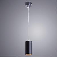 Дополнительная картинка Подвесной светильник Arte Lamp Canopus A1516SP-1BK