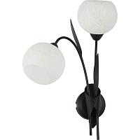 Дополнительная картинка Бра Lussole Bagheria LSF-6291-02