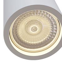 Дополнительная картинка Потолочный светильник Maytoni Conik Gyps C003CW-01W