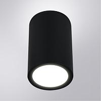 Уличный потолочный светильник Arte Lamp TORCULAR A1307PF-1BK