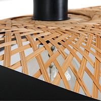 Дополнительная картинка Подвесной светильник Arte Lamp WOODSTOCK A7059SP-1BK