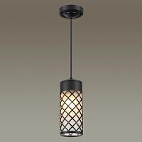 Дополнительная картинка Уличный подвесной светильник Odeon Light Nature Dunes 4834/1