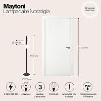 Дополнительная картинка Торшер Maytoni MOD048FL-03G