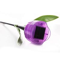 USL-C-453/PT305 PURPLE TULIP  Садовый светильник на солнечной батарее ,Лиловый тюльпан,. Белый свет. 1*LR аккумулятор в/к. IP44. TM Uniel.