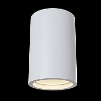 Потолочный светильник Maytoni Conik Gyps C003CW-01W купить в Алматы svet.kz