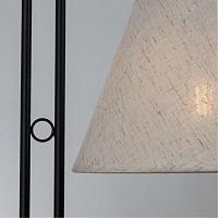 Дополнительная картинка Торшер Arte Lamp ALEA A5068PN-2BK