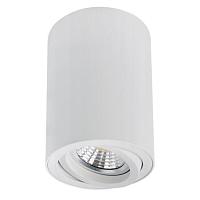 Точечный накладной светильник Arte Lamp SENTRY A1566PL-1WH, доставка по Казахстану 