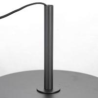 Дополнительная картинка Торшер Lussole LSP-0590