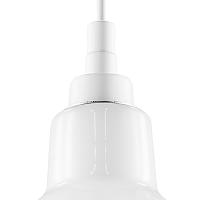 Дополнительная картинка Подвесной светильник Lightstar Loft 865016