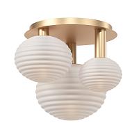 Дополнительная картинка Потолочный светильник Maytoni MOD268CL-03G