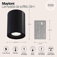Дополнительная картинка Потолочный светильник Maytoni Alfa C012CL-01B