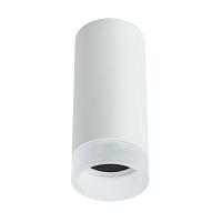 Дополнительная картинка Потолочный светильник Arte Lamp Ogma A5556PL-1WH