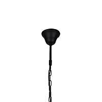 Дополнительная картинка Подвесной светильник Favourite Situla 1975-1P
