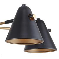 Дополнительная картинка Потолочная люстра F-Promo Rigor 2844-5P