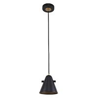 Дополнительная картинка Подвесной светильник F-Promo Rigor 2844-1P