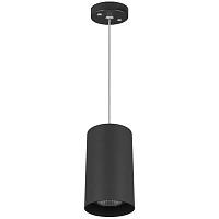 Дополнительная картинка Подвес Lightstar Rullo 590087