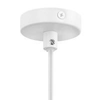 Дополнительная картинка Подвесной светильник Lightstar Loft 765026