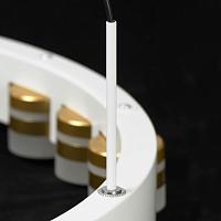 Дополнительная картинка Светильник подвесной Lussole LSP-7176