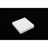 APL.0190.00.02/RT-A-ZS-EU2 Выключатель двухклавишный 
