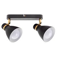Дополнительная картинка Потолочный светильник Arte Lamp FAFNIR A5047PL-2BK