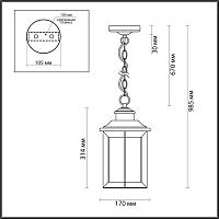 Дополнительная картинка Уличный подвесной светильник Odeon Light Nature Mavret 4961/1