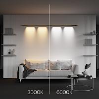 Дополнительная картинка Светильник Technical C101CL-L1000-24W3-6K-BS