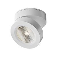 Дополнительная картинка Светодиодный спот Maytoni Alivar C022CL-L12W4K