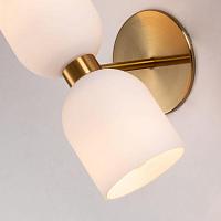 Дополнительная картинка Бра Favourite Amusing 2876-1W