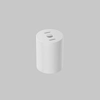 Дополнительная картинка Потолочный светильник Technical C001CL-GU10-W