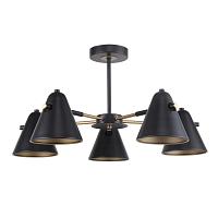 Дополнительная картинка Потолочная люстра F-Promo Rigor 2844-5P