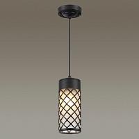 Дополнительная картинка Уличный подвесной светильник Odeon Light Nature Dunes 4834/1