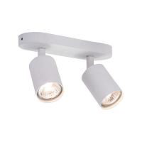 Дополнительная картинка Потолочный светильник Arte Lamp AQUARIUS A3226PL-2WH