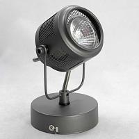 Дополнительная картинка Спот Lussole Loft Haines LSP-8045