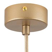 Дополнительная картинка Подвесной светильник Lightstar Dumo 816313