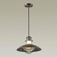 Дополнительная картинка Уличный подвесной светильник Odeon Light Nature Dante 4164/1