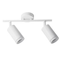 Дополнительная картинка Настенно-потолочный светильник Arte Lamp IMAI A2365PL-2WH