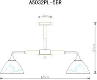 Дополнительная картинка Потолочная люстра Arte Lamp Matthew A5032PL-5BR