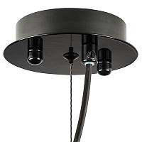 Дополнительная картинка Подвесная люстра Lightstar Savona 816027