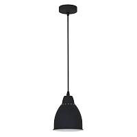 подвесной светильник arte lamp braccio a2054sp-1bk, доставка по Казахстану 