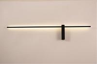 Настенный светильник Arte Lamp PHOENIX A2025AP-1BK