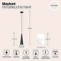 Дополнительная картинка Подвесной светильник Maytoni Nevill P318PL-01B