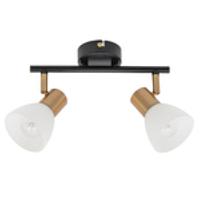 Дополнительная картинка Настенно-потолочный светильник Arte Lamp Falena A3117PL-2BK