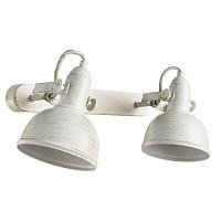 Настенный светильник Arte Lamp Martin A5213AP-2WG