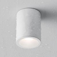 Дополнительная картинка Потолочный светильник Maytoni Antares C029CL-01W