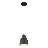 Дополнительная картинка Подвесной светильник Arte Lamp Braccio A2054SP-1BK