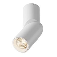 Дополнительная картинка Светодиодный спот Maytoni Dafne C027CL-L10W