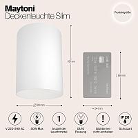 Дополнительная картинка Потолочный светильник Maytoni Alfa C014CL-01W