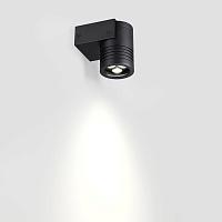 6648/6WL NATURE Odeon Light  Фасадный светильник STIMA