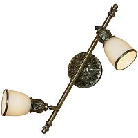 Дополнительная картинка Спот Lussole Furlo LSL-7301-02